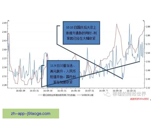 从数据维度深度拆解德甲本轮走势与关键胜负演化逻辑全景解析